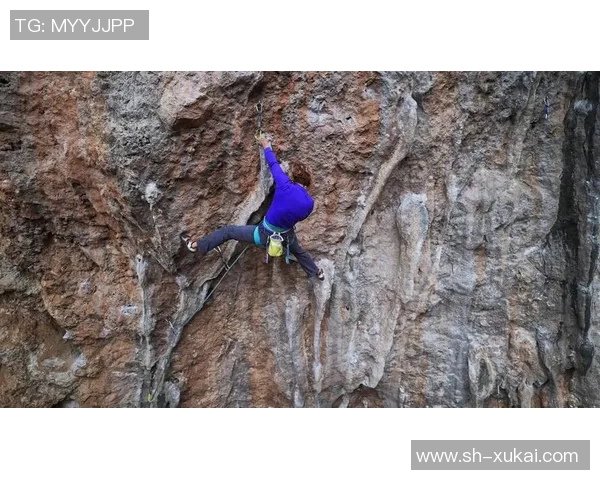 杭州攀岩队战术探讨：聚焦攀岩技术与团队协作的完美结合MBA