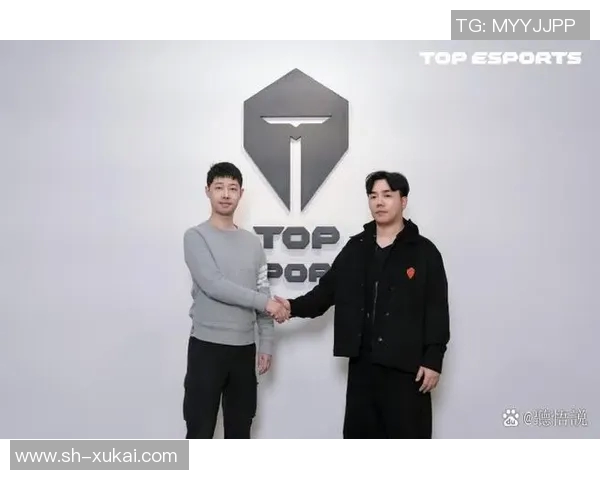 英雄联盟纪实：TES战队的拼搏历程与荣耀追寻