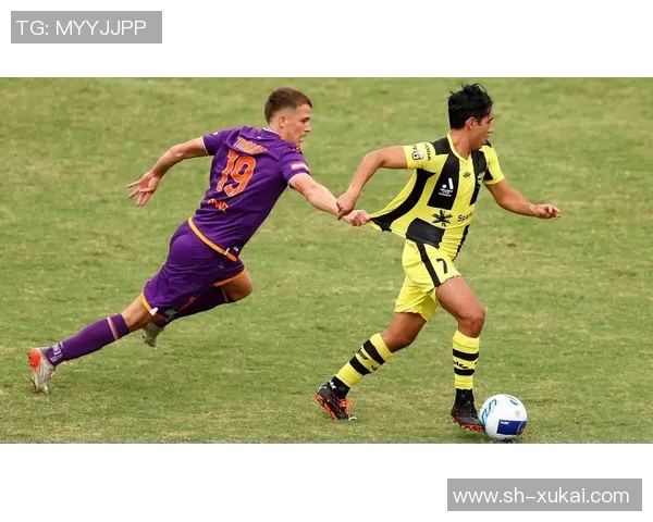 西悉尼与惠灵顿激战正酣比分揭晓引发球迷热议