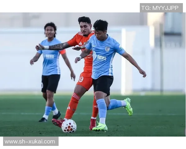 北京排球队实力解析：从技术到战术全面剖析球队竞争力与未来发展MBA