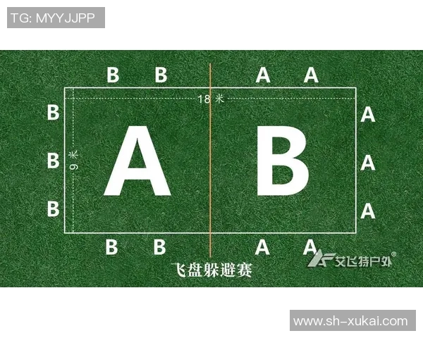 北京飞盘队的节奏分析与战术得失探讨