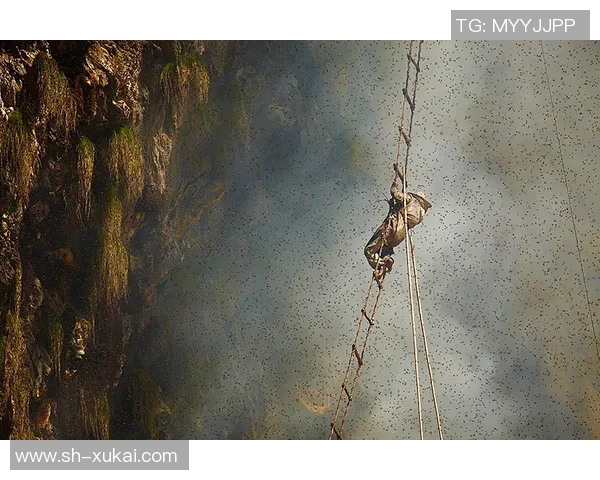 北京攀岩队转型之路的真实记录与成长历程探索