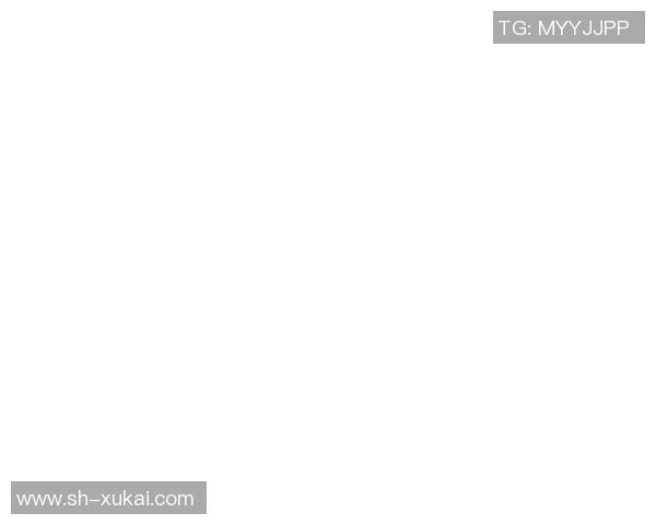 飞盘人生的乐趣与挑战黄磊与飞盘的深度对话分享